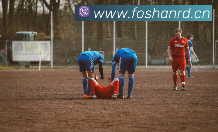 华体会官方版网站登录入口 - 华体会(中国)平台生态图